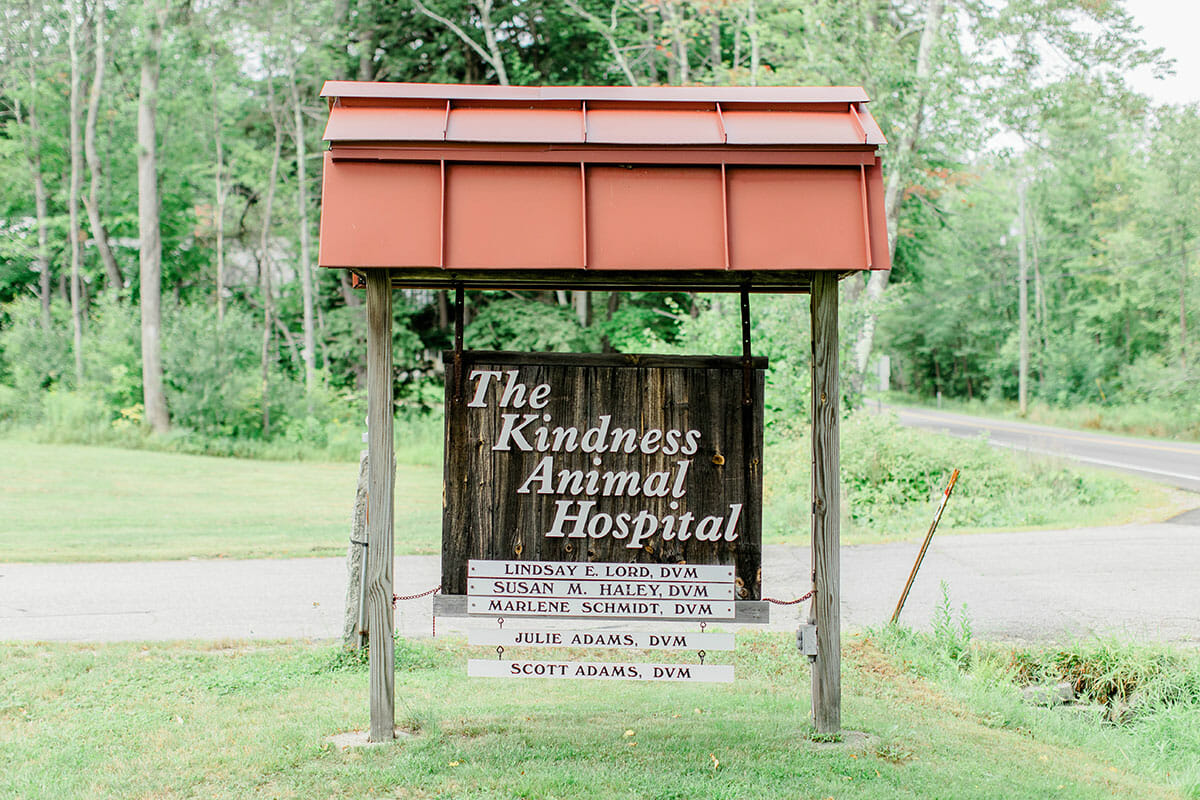 veterinary services | The Kindness Animal Hospital Ossipee, NH